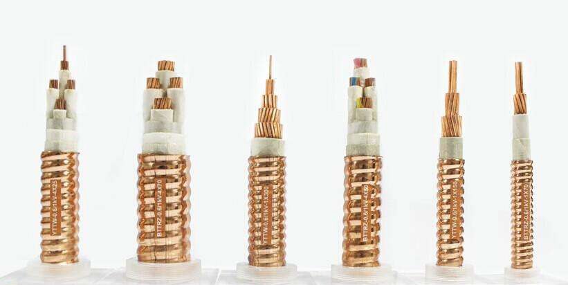 YTTW�����ʵ���