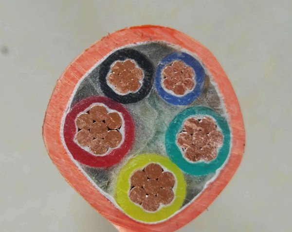 BB��������ɭ�ٷ���վ���¿������