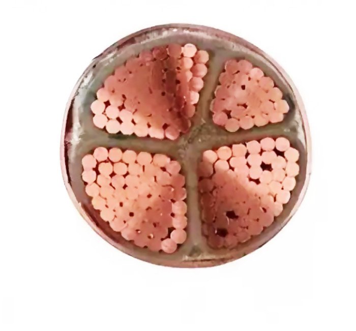 BB��������ɭ�ٷ���վ�����Ե���